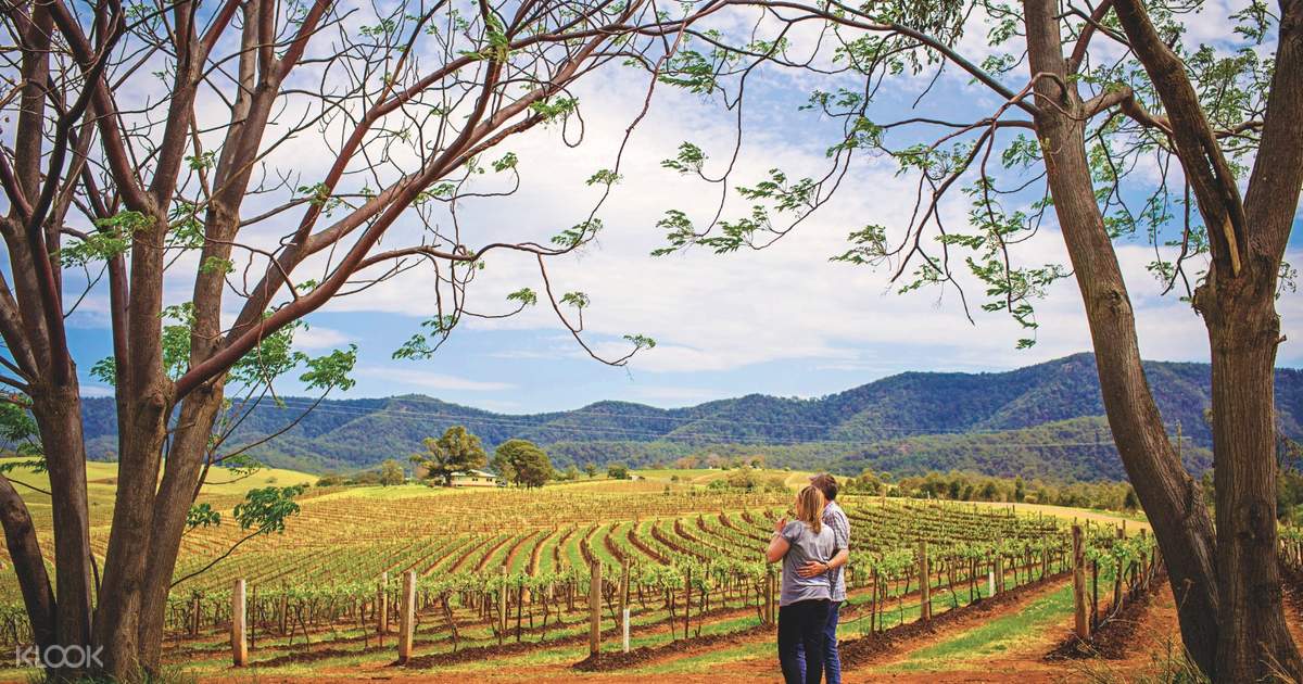 hunter valley wine tour from central coast